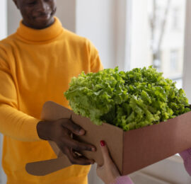 Hydroponically Grown Greens Hydroponically Grown Greens