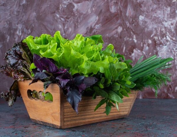 Salad Greens